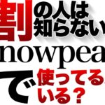 【登山】【キャンプギア】山でスノーピークは使えるのか？snowpeakのオススメ10選！ほとんどの人が知らないスノーピークのあれこれ