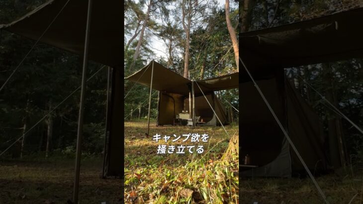 【神アイテム！✨】キャンプ欲を掻き立てる、フォルムチェンジが自由自在のテント🏕️