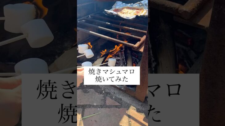 焼きマシュマロ焼いてみた　#マシュマロ #キャンプめし #キャンプ飯 #キャンプ料理 #キャンプスイーツ #アウトドアめし #アウトドア飯 #アウトドア料理 #キャンプ #アウトドア