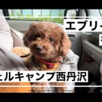 初心者キャンパーがエブリィで行くウェルキャンプ西丹沢　#旅行  #犬 #車中泊昼はお天気でしたが夜は冬突入の激寒でしたが薪ストーブが大活躍！