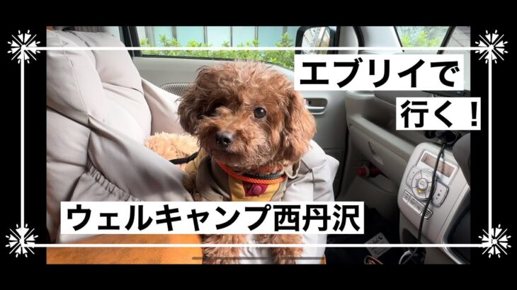 初心者キャンパーがエブリィで行くウェルキャンプ西丹沢　#旅行  #犬 #車中泊昼はお天気でしたが夜は冬突入の激寒でしたが薪ストーブが大活躍！