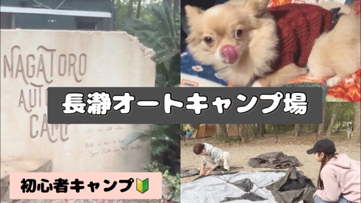 【犬とキャンプ】初心者が雨キャンしたら大変なことに、、、長瀞オートキャンプ場