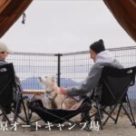 【犬とキャンプ】絶景高原キャンプ場で紅葉と韓国料理を楽しむ秋キャンプ｜みかぼ高原オートキャンプ場