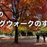 初冬の広島ウォーキング15km〜野良道具製作所でキャンプギアゲット〜FIREBOX nano×トランギアでアウトドア珈琲は良き