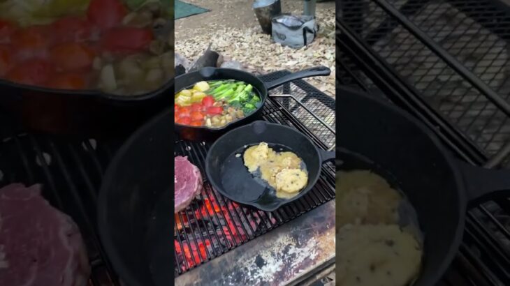 BBQ dinner at camp 🏕️ キャンプで焚き火料理🍳🥩　#camping #bbq #firecooking