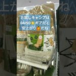 DAISO🔰キャンプギア売り場拡大中