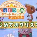 【ポケ森コンプリート】Eveの夜、初心者がひっそりクリスマス家具でキャンプ場を彩る！#12【どうぶつの森】