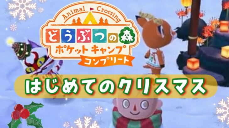 【ポケ森コンプリート】Eveの夜、初心者がひっそりクリスマス家具でキャンプ場を彩る！#12【どうぶつの森】