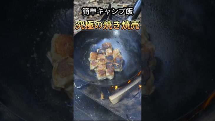 【キャンプ飯】キャンプ場で作れてビールが進む簡単焼き焼売 #キャンプ飯 #料理 #九州キャンプ #ソロキャンプ #shorts