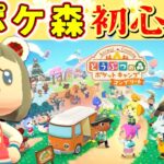 【ポケットキャンプコンプリート】ポケ森初心者