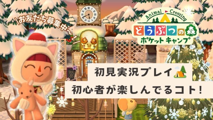 【ポケ森】はじめてのポケットキャンプ🏕️初心者がどんな風に楽しんでいるか紹介します！