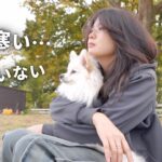 【女ひとり】強風の中愛犬とキャンプ｜キャンプ初心者