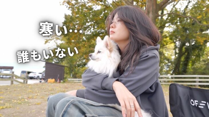 【女ひとり】強風の中愛犬とキャンプ｜キャンプ初心者