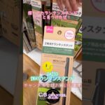 【旅の備忘録】DAISO2WAYランタンスタンドゲット#キャンプギア