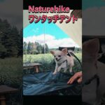 Naturehike  ネイチャーハイク ワンタッチテント Cloud Boundary #キャンプ #冬ソロキャンプ #キャンプギア #ソロキャンプ #アウトドア #shorts