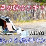 mota camp㊶ 初詣のついでに正月キャンプ（滝谷花しょうぶ園）