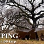 【野営ソロキャンプ】DD tarpのシンメトリー張りで過ごすタープ泊キャンプ