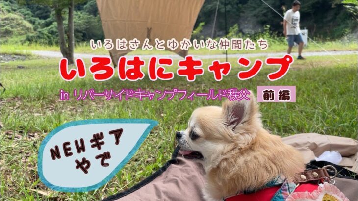 初めてタープを張ってみた！いろはにキャンプinリバーサイドキャンプフィールド秩父【いろはさんとゆかいな仲間たち】