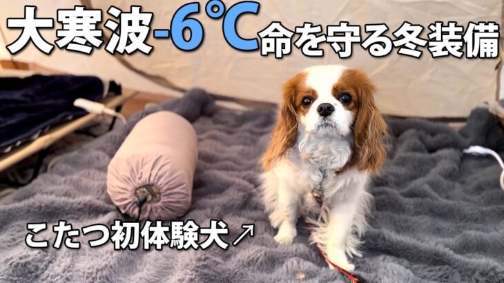 大寒波-6℃冬キャンプが快適すぎて愛犬も大喜び