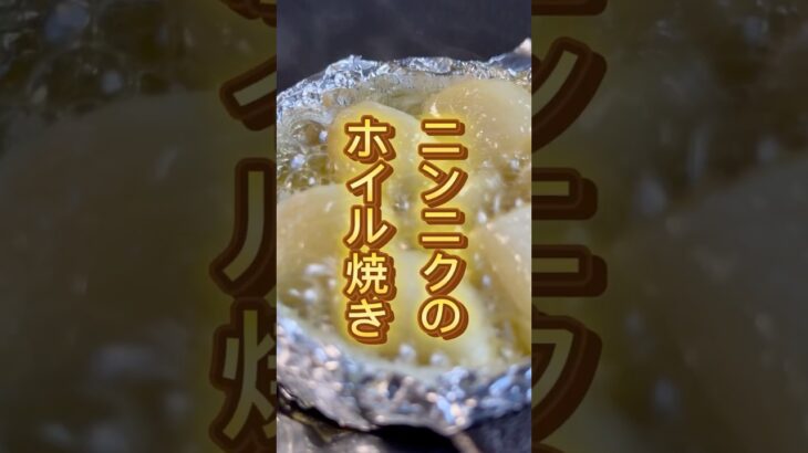 【キャンプ飯】次のキャンプ飯はこれだ！ニンニクのホイル焼き