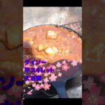 100均キャンプ焚火飯 #100均キャンプ