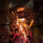 焚き火26  肉再び🔥#焚き火#焚き火飯#焚き火料理 #焚き火の音 #fire #campfire #camping #癒し #癒しの音 #アウトドア #野営