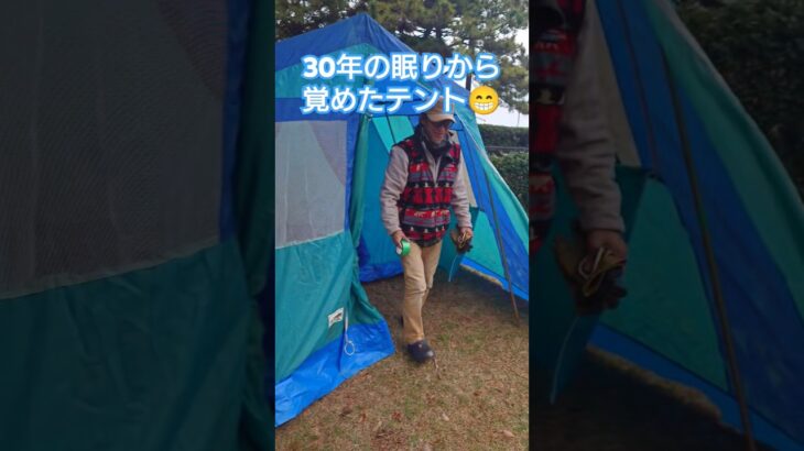 30年の眠りから覚めたテント  #テント #キャンプギア#キャンプ道具 #キャンプ#アウトドア #城南島海浜公園キャンプ場