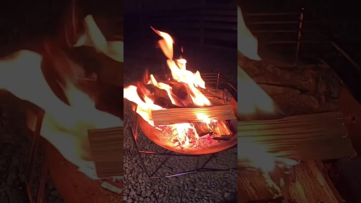 キャンプに行ったら焚き火が楽しい！料理は肉を焼くだけだけどハイボール飲みながらパチパチ薪が焼けてる音が好き！7inchキャンプ場また行きたいな！