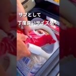夏キャンプにあると便利なキャンプ道具【EENOUR D18】