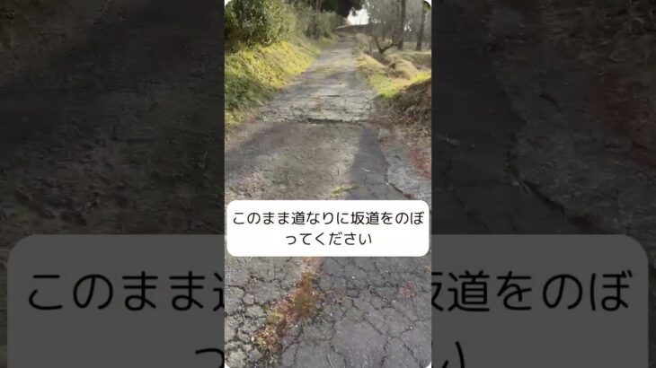 【公式】KOUGA BASE CAMP｜初めてでも迷わない！キャンプ場までの道順ガイド