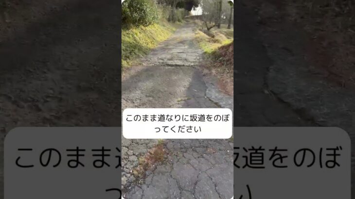 【公式】KOUGA BASE CAMP｜初めてでも迷わない！キャンプ場までの道順ガイド