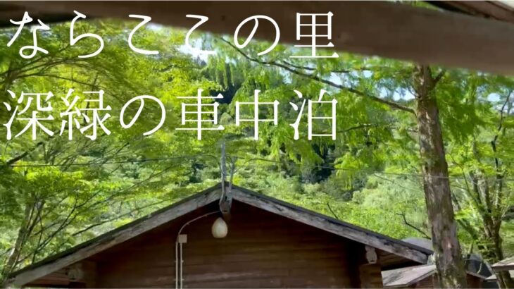 【N-VAN】キャンプに最適な季節/初心者を襲う悲劇