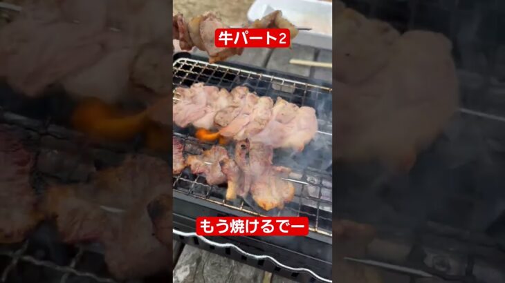 #焼肉 #アウトドアグルメ #bbq #炉端焼き #アウトドア #キャンプ #バーベキュー #キャンプ飯 #焼き肉 #焼き鳥 #男飯#料理#shorts