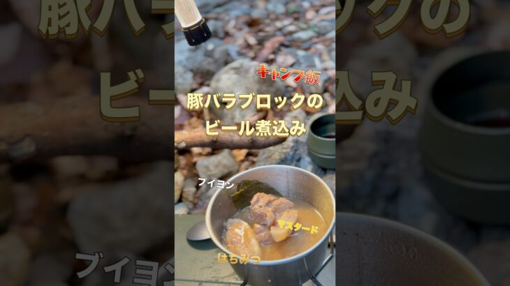 キャンプにうってつけの料理　豚バラブロックのビール煮込み#shorts