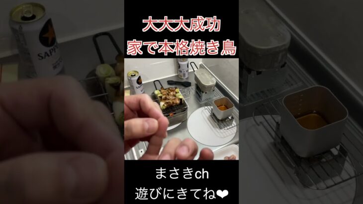 固形燃料で焼き鳥ってできるの？おうちキャンプやってみた〜リベンジ〜 #shorts #料理  #cooking #飯テロ #メスティン