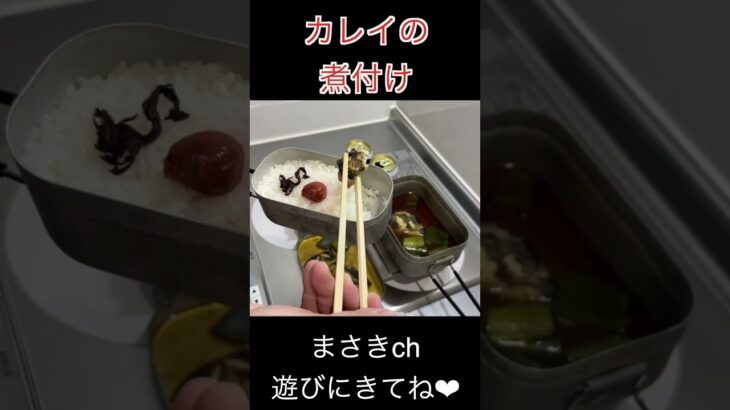 メスティンでカレイの煮付けつくってみた #shorts   #料理 #飯テロ #cooking #メスティン #food #bbq #料理動画 #キャンプ飯#煮込む #家キャン  #おうちキャンプ