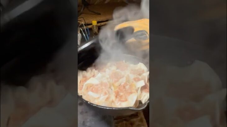 【ソロキャンプ飯】薪ストーブで簡単焼売！