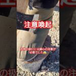 【キャンプギア】注意喚起＆自分への戒め動画 刃物の扱いには細心の注意を #怪我防止 #取り扱い注意 #注意喚起 #キャンプギア #キャンプ道具 #薪割り斧 #薪割り #キャンプ #野営 #