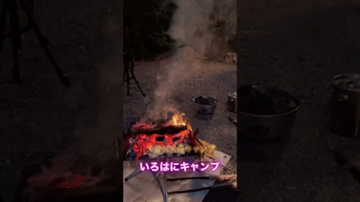 ニュー田代オートキャンプ場✦いろはにキャンプ　#キャンプ #わんこ連れキャンプ #キャンプ初心者 #アウトドア #大型犬のいる生活