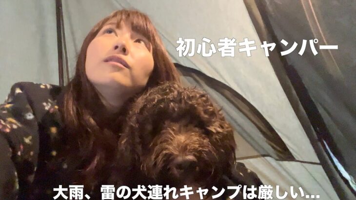 【女二人】大雨の犬連れキャンプは初心者にはしんどすぎた…