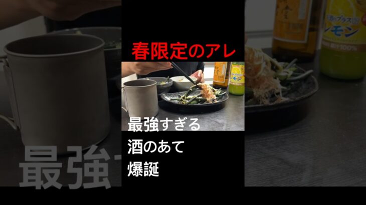 ガチ山菜、旨すぎて黙る【採れたてわらび】 #わらび #料理 #山菜 #アウトドアグルメ