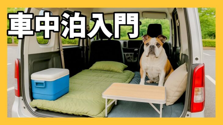 車中泊入門｜これだけ知っていれば安心です【初心者向け】
