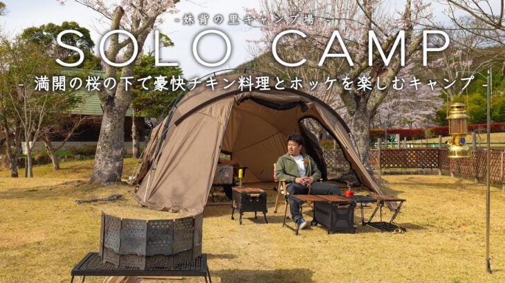 【ソロキャンプ】満開の桜を眺めながら楽しむキャンプ料理！豪快チキンとホッケ