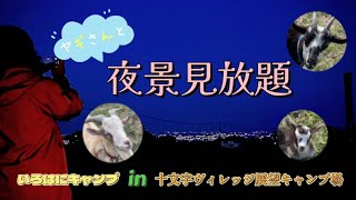 ヤギさんと夜景見放題【vol.①】十文字ヴィレッジ展望キャンプ場