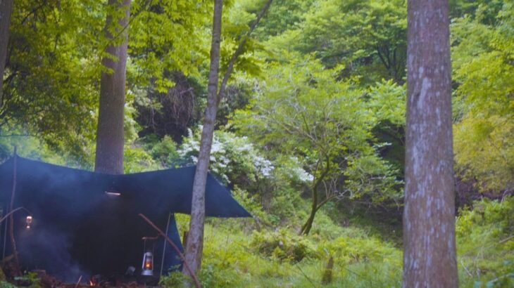 【ソロキャンプ】お気に入りの野営地がやつらに占拠される/無骨キャンプ/野営キャンプ/4K動画