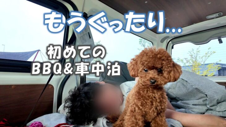 #9 もうぐったり💦初めての車中泊キャンプ / 神経質なお母ちゃん / せっかちなお父ちゃん / 警戒心Maxの犬