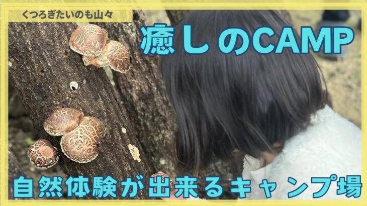癒しのCAMP  自然体験が出来るキャンプ場#ファミリーキャンプ #子育て