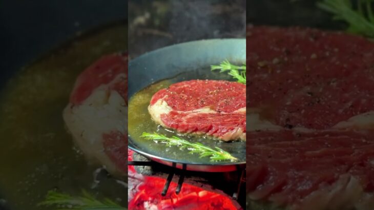 シンプルに肉を焼く夜#キャンプ飯  #焚き火料理  #ソロキャンプ    #CampCooking  #SoloCamping  #SteakOnFire  #BushcraftDinner