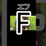 シェフしょうの「F」　#料理 #キャンプ飯 #キャンプ #アウトドア #北海道 #チャンネル登録お願いします #夏 #youtubeshorts #保育士 #ゆうキャンかさログ #肉 #おにぎり
