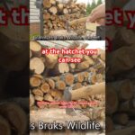 The best hipster hatchet #camping #campingequipment #campinggear #gransforsbruks